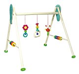 Hess baby gym