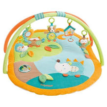 Fehn baby gym