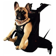 DogCarrier dog carrier backpack