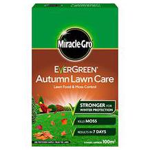 Evergreen fall lawn fertilizer