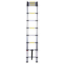 WolfWise extension ladder