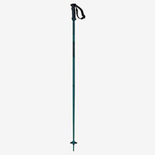 Salomon ski pole