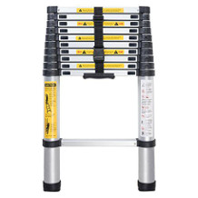 WolfWise extension ladder